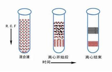 醫(yī)用離心機(jī)全知道